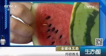 吃瓜不吐籽拍摄,揭秘娱乐圈的甜蜜与苦涩