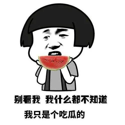 群众吃瓜道歉视频,反思网络舆论的力量