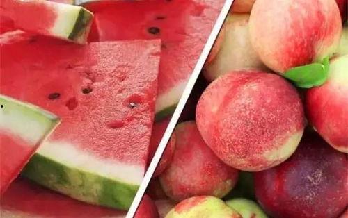 桃乐比吃瓜,揭秘娱乐圈的甜蜜瓜田