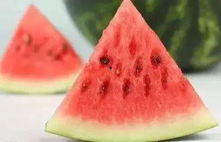 冬天带你吃瓜,冬日暖阳下的甜蜜瓜果之旅