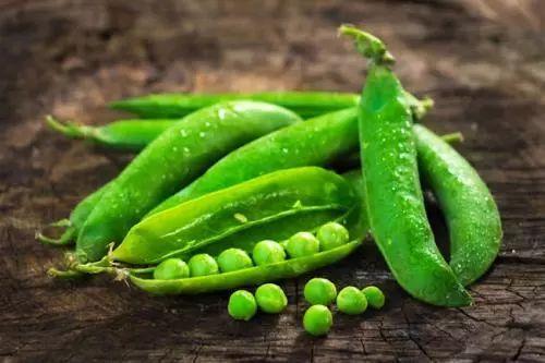 又到了吃豆吃瓜的季节